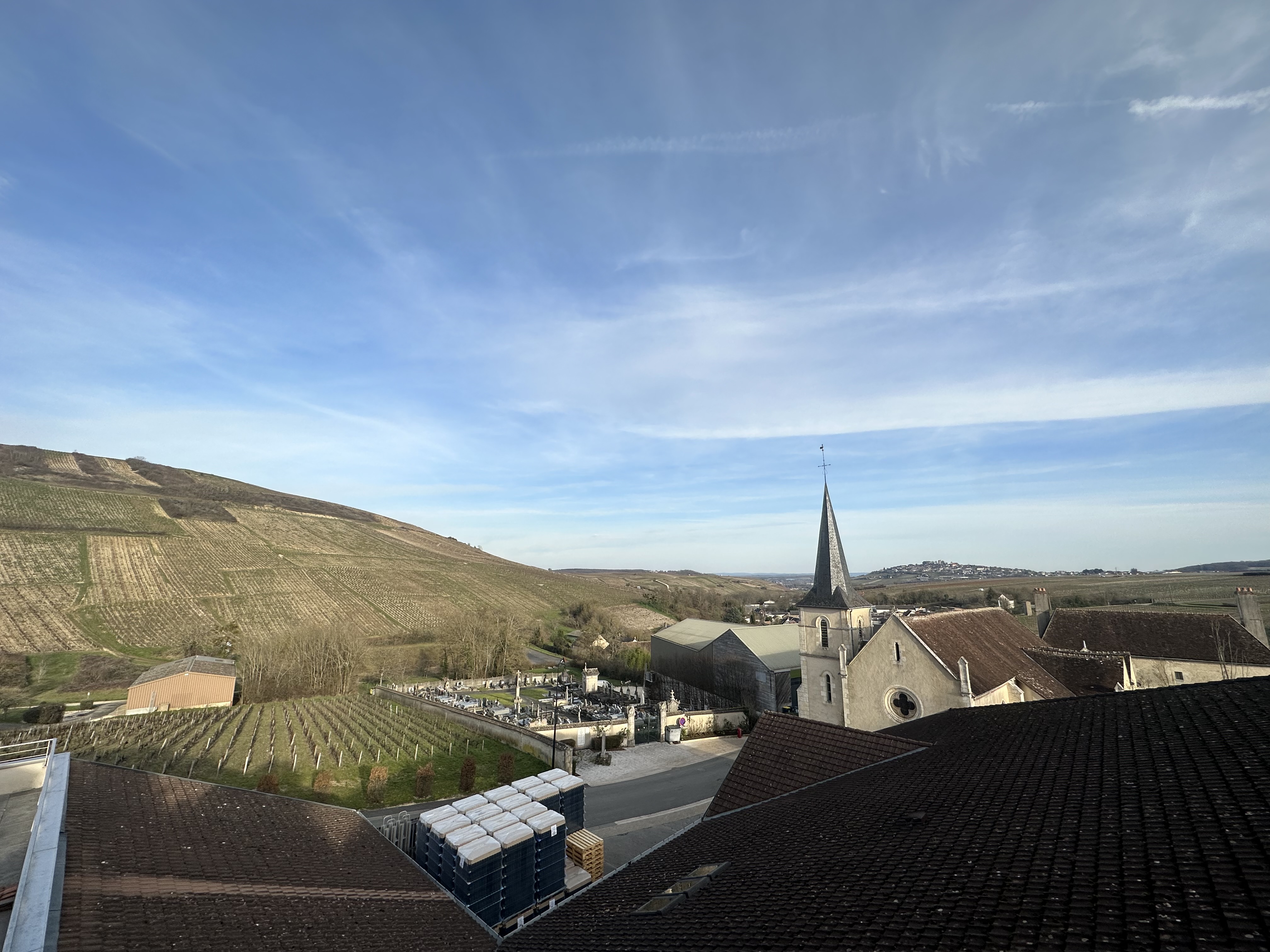 Vignes en Côte-Rôtie