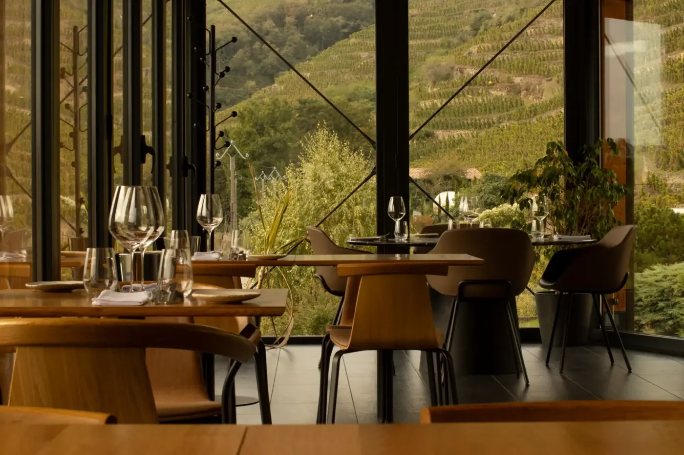 Espace de réception du domaine avec vue sur les vignes